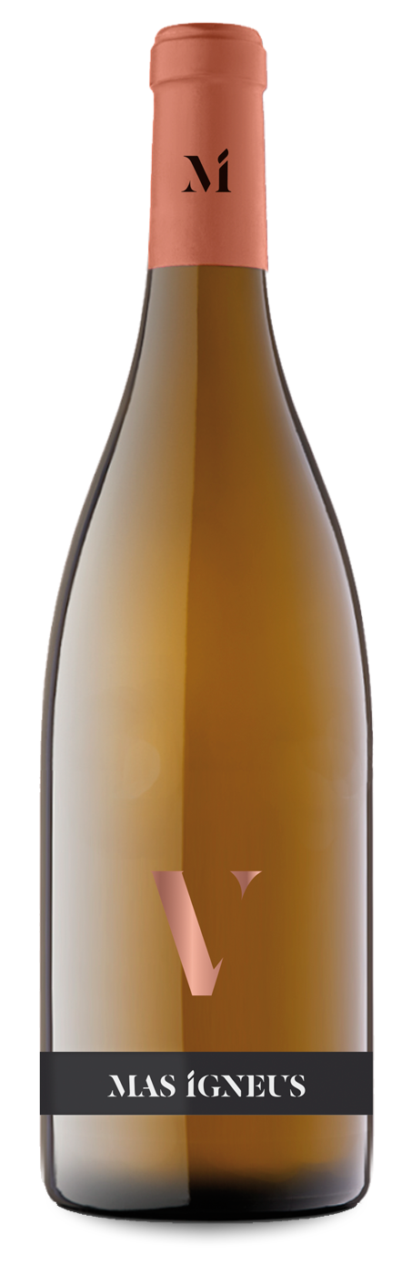 Gamma_Vins_MasIgneus_V Gamma_Vins_MasIgneus_V
