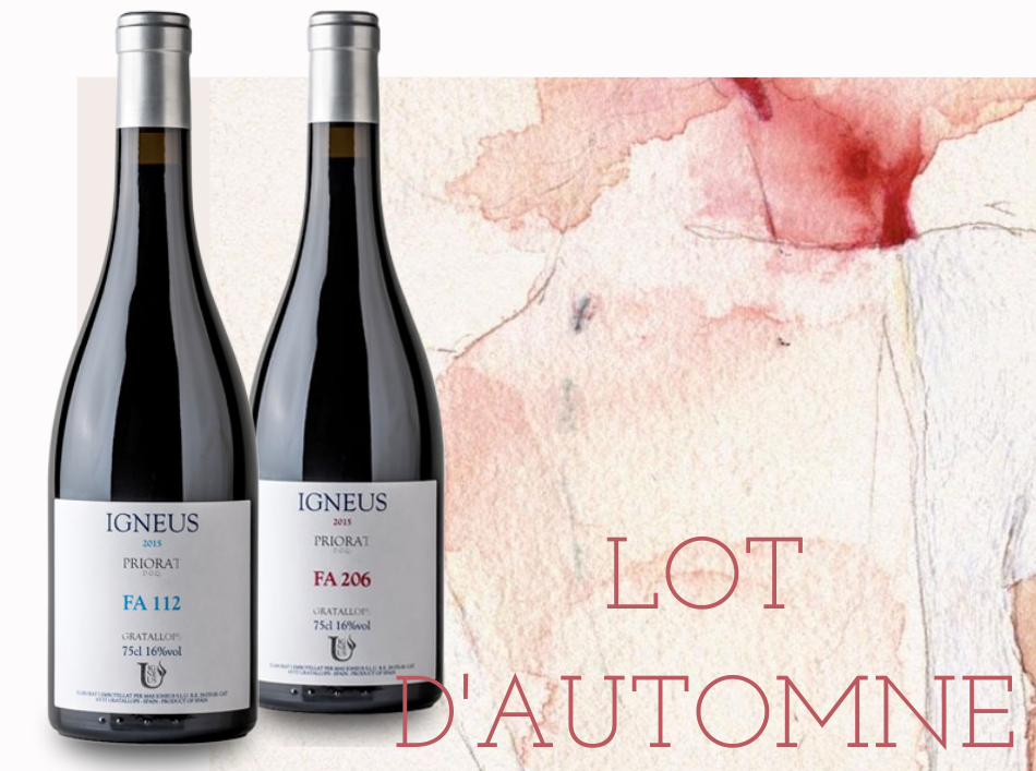 Copia de Copia de Pink Template (4) acheter du vin -masigneus