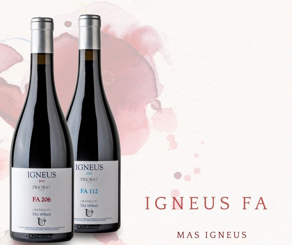 Igneus FA igneus FA-masigneus