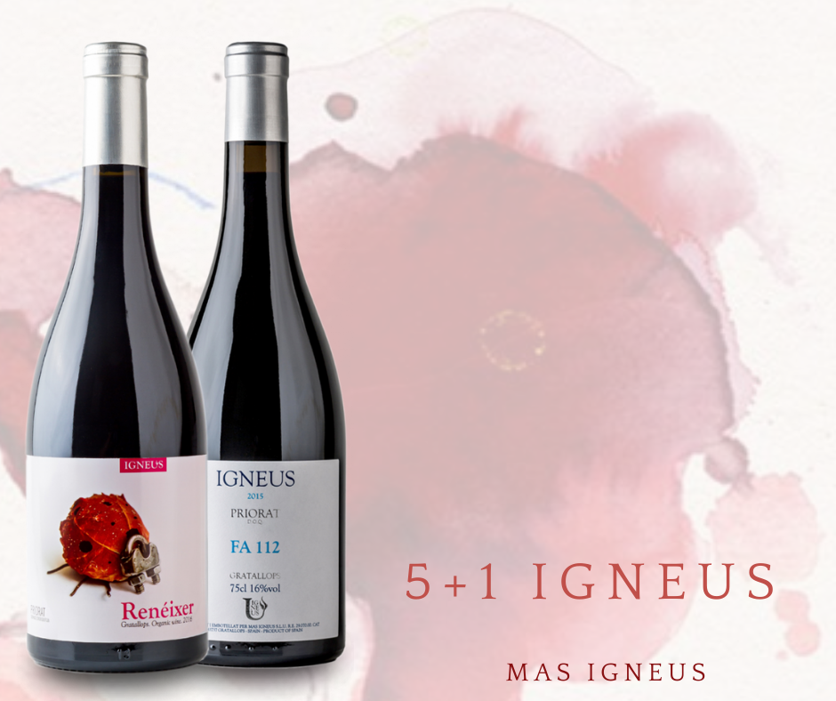 reneixer i fa112-masigneus reneixer i fa112-masigneus