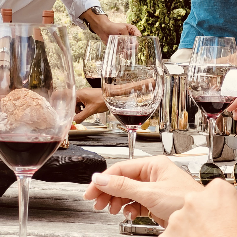vinos de autor-masigneus vinos de autor-masigneus